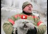 Смелые пожарные спасающие животных из огня