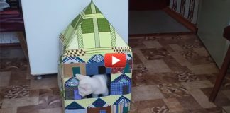 Как сделать домик для кошки